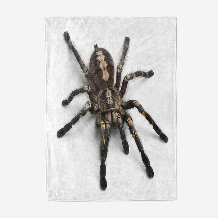Ковдра з європейського тарантула, дитяча ковдра, ковдра на диван, плюшева ковдра, пухнаста м&39яка ковдра, покривало для дивана та кушетки, постільна білизна, вовняна ковдра - 150x180 см