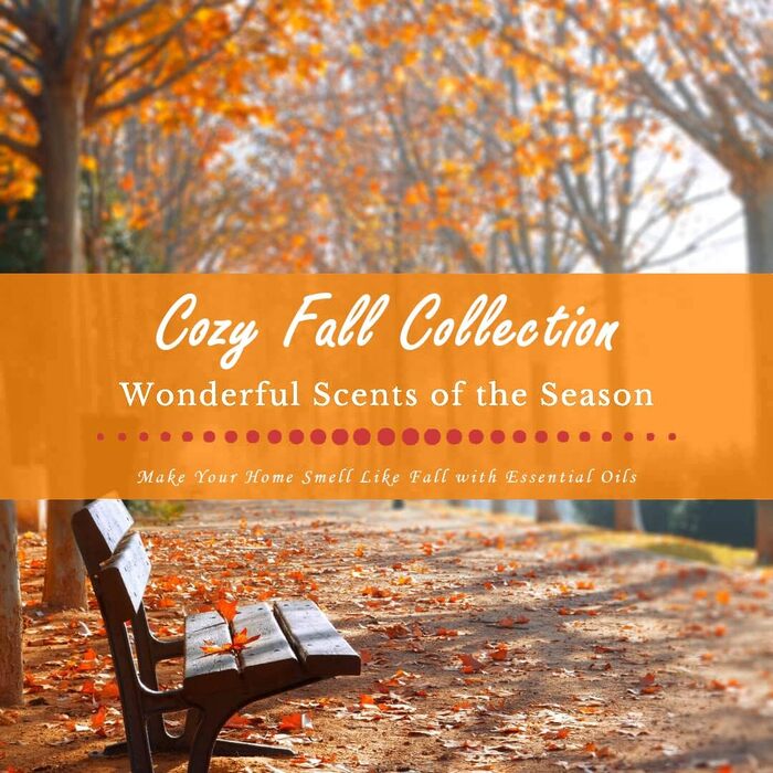 Набір осінніх ефірних олій SALUBRITO для дифузора, ароматна олія для дифузора Pure Natural Aromatherapy 6 x 10 мл кориця, гарбузові спеції, пряний яблучний сидр, снікердудл, ваніль, мускатний горіх