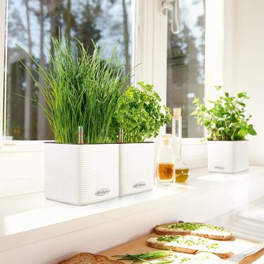 Колір 14 шиферно-сірий 13384