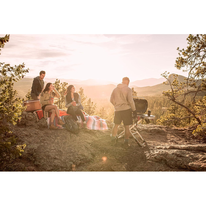 Газовий гриль Weber Traveler/Складана конструкція з колесами, автоматичним блокуванням кришки та термометром кришки, 1 конфорка, ширина 111 см, площа гриля 63 x 34 см, чорний (9010079)