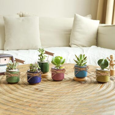 Керамічні горщики для сукулентів Кактус горщики міні квіткові горщики Ice Crack Taller серія 6 кольорів набір з блюдцем, 4U 6,3