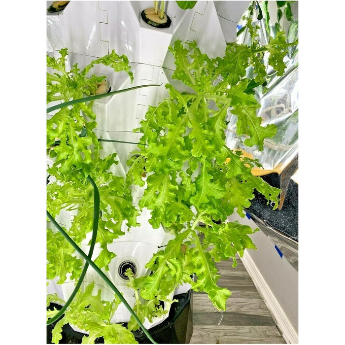 Гідропонний сад, система гідропоніки для вирощування аеропоніки. Плантатор для вирощування ананаса. Башта для внутрішнього саду. Пластикова теплиця. Безґрунтова посадка, спостерігайте за ростом рослин (10-шаровий план 80).