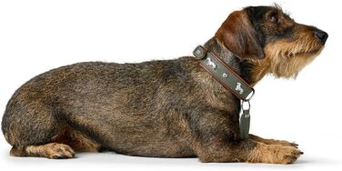 Нашийник для такси Мюнхен, колір коньяк/чорний, шкіра, вишукані декоративні елементи для такс, м'який та міцний, не пошкоджує шерсть, розкішний, екологічно виготовлений, стійкий, вироблено в Німеччині, розмір 32 коньяк/чорний 32