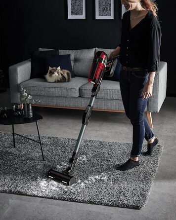 Акумуляторний пилосос з аксесуарами для шерсті домашніх тварин, гнучке з'єднання, до 150 Вт і 45 хв роботи від акумулятора, RH98A8