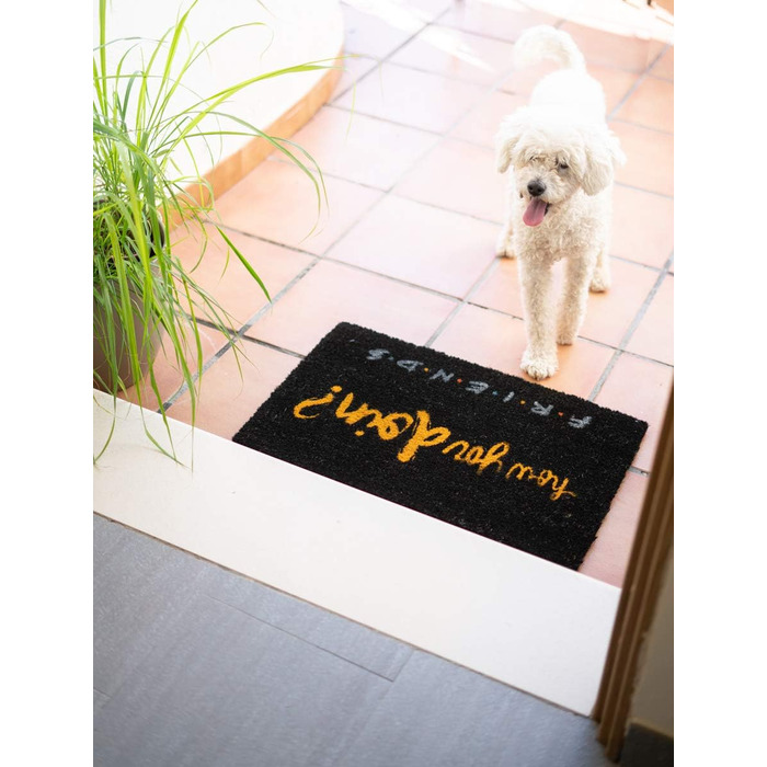 Килимок Grupo Erik Coconut Mat Килимок для дверей Friends How Do You Doin&39 - Килимок для бруду 40x60 см - Забавний килимок для дверей - Килимок для дверей в приміщенні How You Doin&39