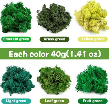 Ісландський мох, консервований мох, декоративний мох для рукоділля, картина з моху, виготовлення моделей, художній мох, натуральний консервований мох у 6 кольорах (240 г), натуральне багаторазове листя моху для декору, виготовлення моделей, прикраса для д