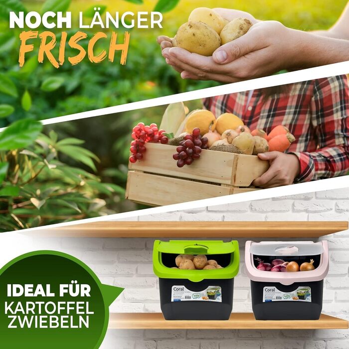 Набір із 2 контейнерів для зберігання картоплі STAHLMANN, контейнер для картоплі з клапаном, ідеально підходить для зберігання цибулі без проростання, контейнер для картоплі для організованої кухні, контейнер для овочів 12 л