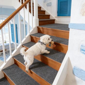 Килим для сходів 30 x 40 см, приємний м&39який ворс, самоклеючий та протиковзкий, можна різати, багаторазовий, 5 килимових сходинок, килимки для сходів для дітей, людей похилого віку, C