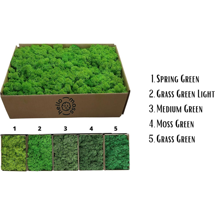 Ісландський норвезький мох Hello Moss 0,5/1 кг - консервований живий мох, повністю органічний - ідеальне прикраса з моху на Великдень, різдвяні прикраси - ремісничий мох, тераріумний мох (1 кг, зелене світло трави)