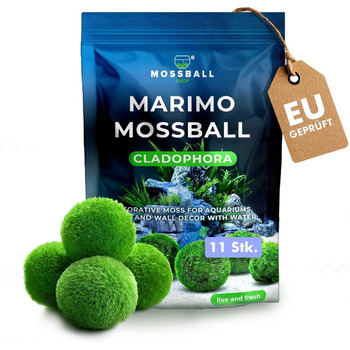 Ук моху, акваріумний мох, справжні мохові кульки для акваріумів, справжня кладофора, натуральні водні рослини для нано- та великих акваріумів, екологічно чисті та стійкі розміри кульок Marimo Moss Balls. 2-3 см, 1