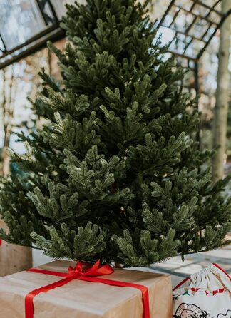 Штучна різдвяна ялинка преміум-класу 180 см TreesHouse