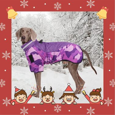 Водонепроникне пальто для собак Vivi Bear, зимовий вітрозахисний теплий жилет для собак із світловідбиваючими смужками та D-подібним кільцем для відпочинку на свіжому повітрі, тренувань, спорту та полювання, 5XL фіолетовий