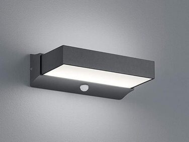 Стічний LED-світильник Trio Cuando 226669242 з датчиком руху, алюміній, 11 Вт, антрацит