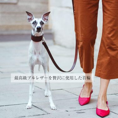 Ошийник для собак Ferplast VIP CW15/32, шкіряний, м'яко підбитий, ширина 1,5 см, обхват шиї 26-32 см, коричневий