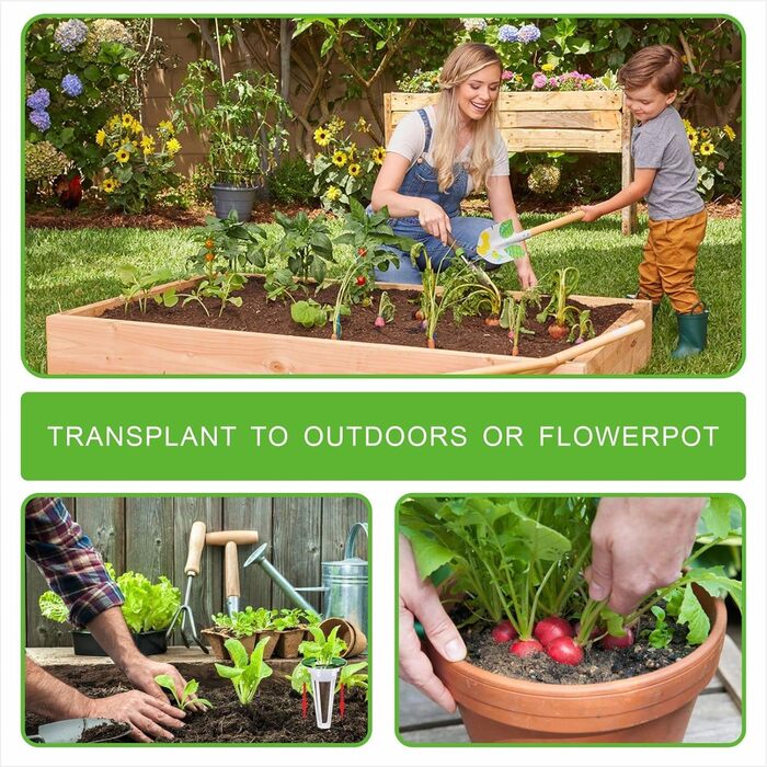 Губки для росту Rigute, 12, набір систем для гідропонного вирощування, включаючи 30 шт. Гідропонного кошика для посадки, 30 шт. Гідропонних ізольованих кришок, 30 шт. Губки для рослин, 30 шт. етикеток