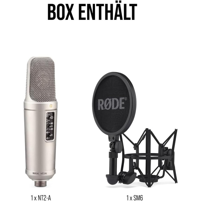 �DE NT2-A Універсальний конденсаторний мікрофон з великою діафрагмою зі змінною полярністю, попереднім ослабленням і фільтром висо