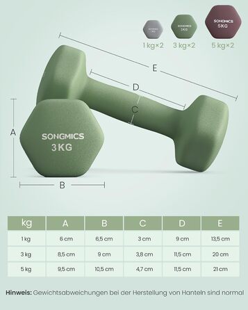 Набір гантелей SONGMICS з підставкою, шестигранні, 2x1 кг, 2x3 кг, 2x5 кг, неопренове покриття, матове закінчення, для силових тренувань вдома, світло-сірий зелений винний