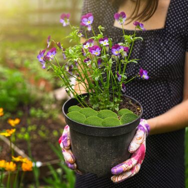 Кульки зі штучного моху. Камені із штучного моху. Камені із штучного моху. Кульки із зеленого моху. Прикраси з штучного моху для казкових садів, квіткових композицій, квіткових композицій, тераріумів і ремесел, 20 шт.