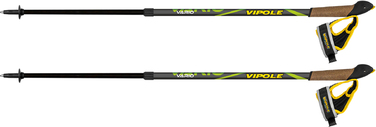Палиці для скандинавської ходьби Vipole Vario Green DLX (S20 31)