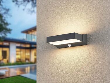 Стічний LED-світильник Trio Cuando 226669242 з датчиком руху, алюміній, 11 Вт, антрацит