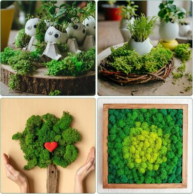 Ісландський мох, консервований мох, декоративний мох для рукоділля, картина з моху, виготовлення моделей, художній мох, натуральний консервований мох у 6 кольорах (240 г), натуральне багаторазове листя моху для декору, виготовлення моделей, прикраса для д