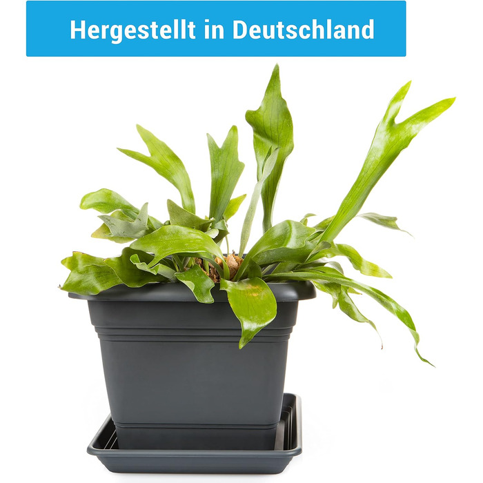 Набір з 4 рослинних горщиків XXL, 48 см, антрацит, великі пластикові квіткові горщики, вуличні горщики, стійкі до ультрафіолету, морозостійкі, зроблені в Німеччині, з дренажним блюдцем.