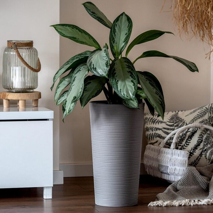 Квітковий горщик KADAX з дерев'яною стружкою, елегантне кашпо зі знімною вставкою, захист квіткового горщика для офісу, квітковий