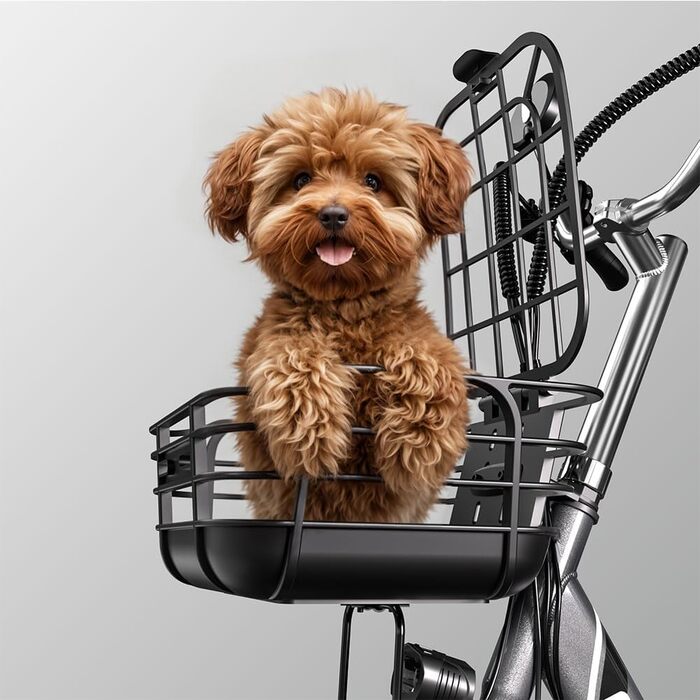 Електричний триколісний велосипед cysum для дорослих, 16-дюймовий складаний 3-колісний електровелосипед, акумулятор 48 В 22 Аг, запас ходу до 120 км, вантажний електротриколісний велосипед, вантажопідйомність 150 кг