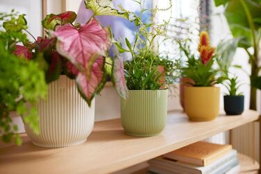 Горщик для рослин - Кімнатний горщик для квітів - 100 перероблений пластик - Ø 18,4 x H 16,8 см - зелений/сорбетний зелений Сорбет