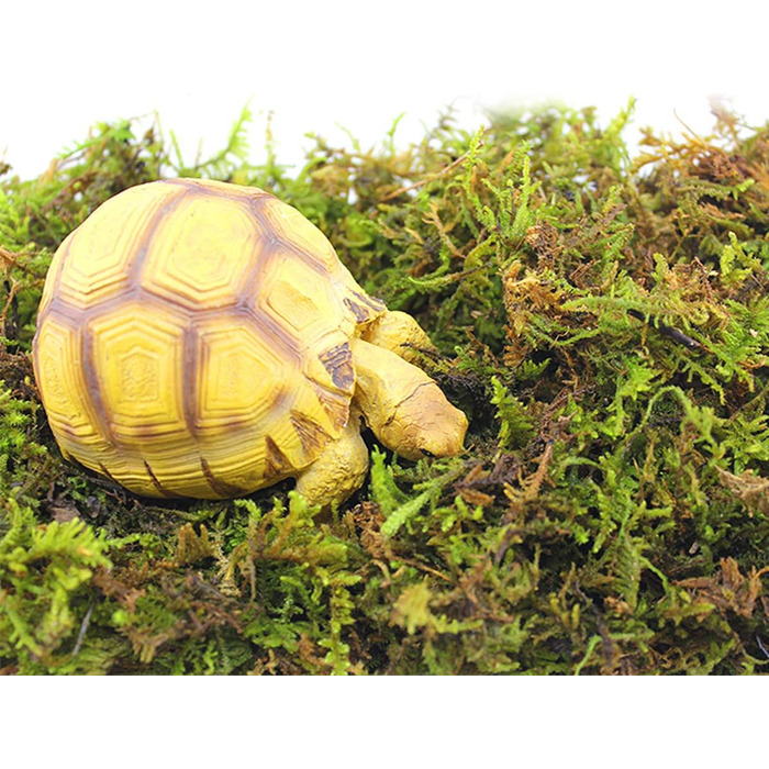 Упаковки Штучний імітаційний мох, зручний і практичний штучний зелений мох Штучний оленячий мох Імітація лишайників Підроблені зелені рослини для рослин Прикраса саду патіо, 2