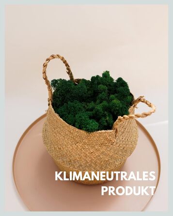 Ісландський мох збережений темно-зелений Прикраса з моху для рукоділля 1 кг справжнього декоративного ісландського моху для малюнків з моху та стін з моху