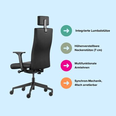 З підголівником ергономічне офісне крісло чорний сучасний дизайн домашній офіс екологічно сертифіковане від Dauphin Black з підголівником, 9246