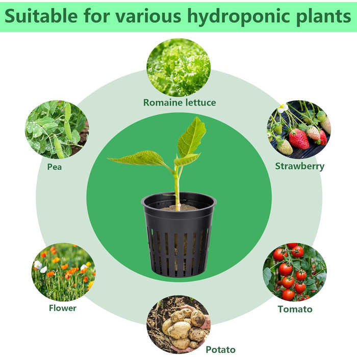 Набір сіток для гідропоніки з 76 шт. - 20 чашок для горщиків 2 дюйми (5 см) із сіткою з прорізами, 36 пакетів для вирощування мінеральної вати, 20 шт. самополивного бавовняного гнітового шнура для гідропоніки