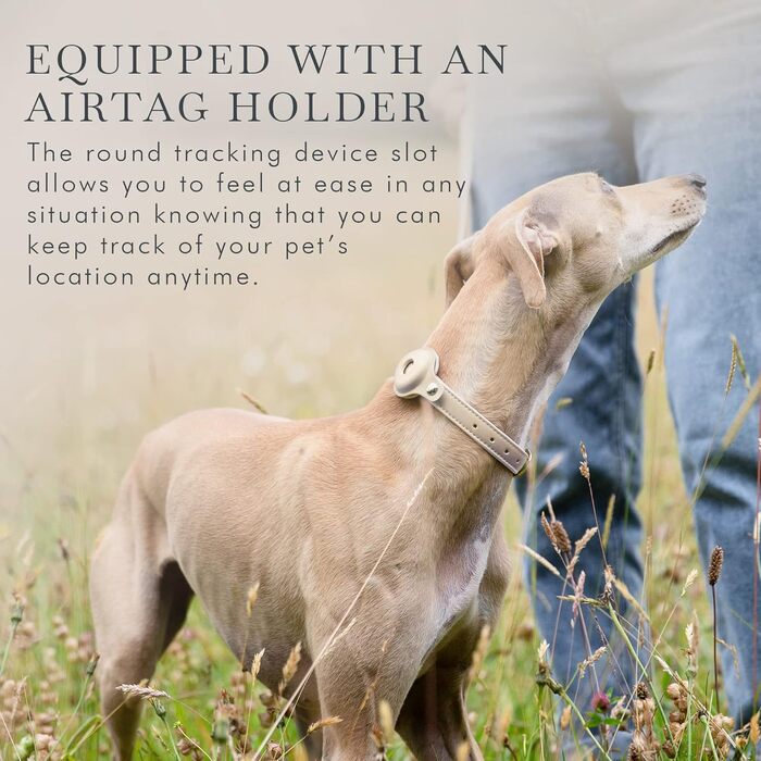 Нашийник для собак Nina Woof Cupertino, з екошкіри, м'який та регульований, з кріпленням для трекера, Бежевий, Розмір XS (обхват шиї 23-30 см)