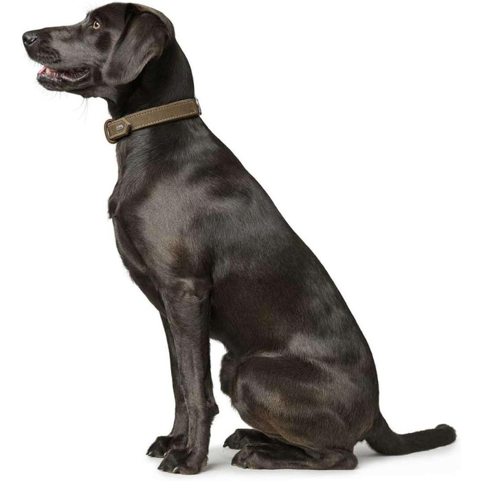 Нашийник для собак HUNTER, шкіра нубук, міцний, м'який, 60 см (M-L), оливковий