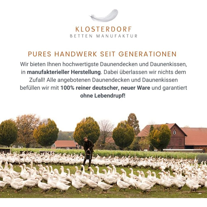 Подушка преміум-класу Klosterdorf Bedding Manufactory з трьома камерами &quotФункціональна&quot - 80x80 см - 1000 грамів - Ручна робота в Німеччині - Здоровий сон - Пухова подушка, 3-камерна подушка