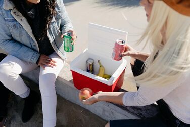 Пасивний міні-холодильник Laguna 9, невеликий легкий термобокс для кемпінгу, сніданку, роботи та перекусів, 8 літрів