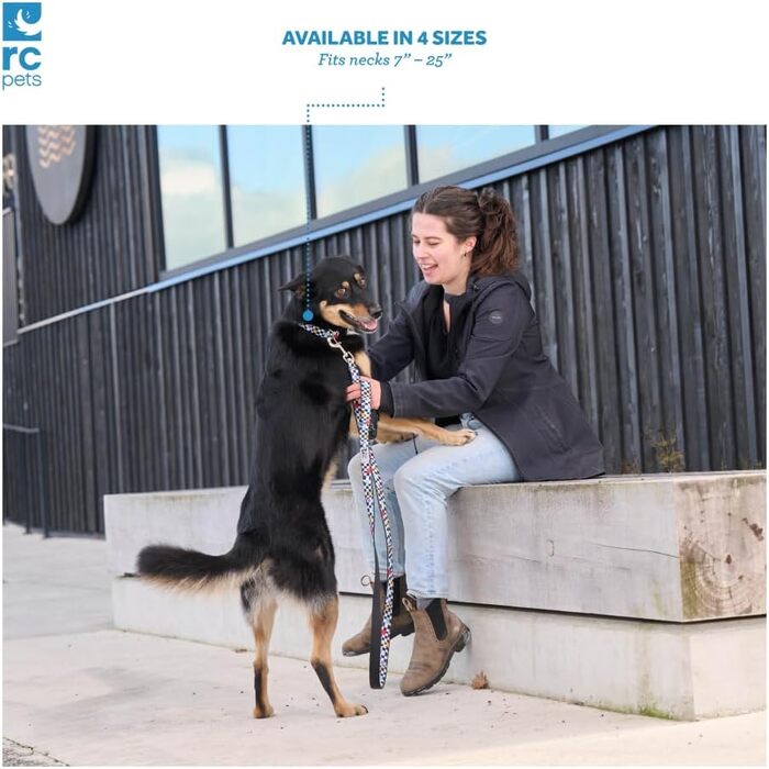 Нашийник для собак RC Pet Products, 1,3 см, регульований, Середній розмір - Ширина 1, Кістка Середній розмір - Ширина 1 Кістка