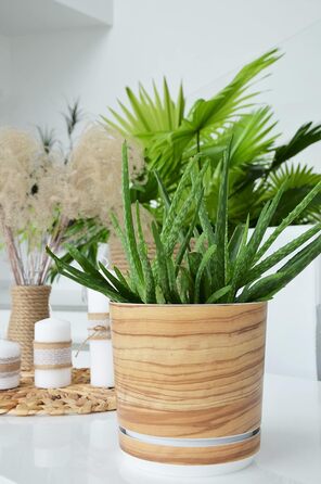 Горщик для квітів з блюдцем - Візерунок 047 Бамбук - 26 см - Кашпо з високоякісного пластику - Декоративний горщик для рослин 26 с