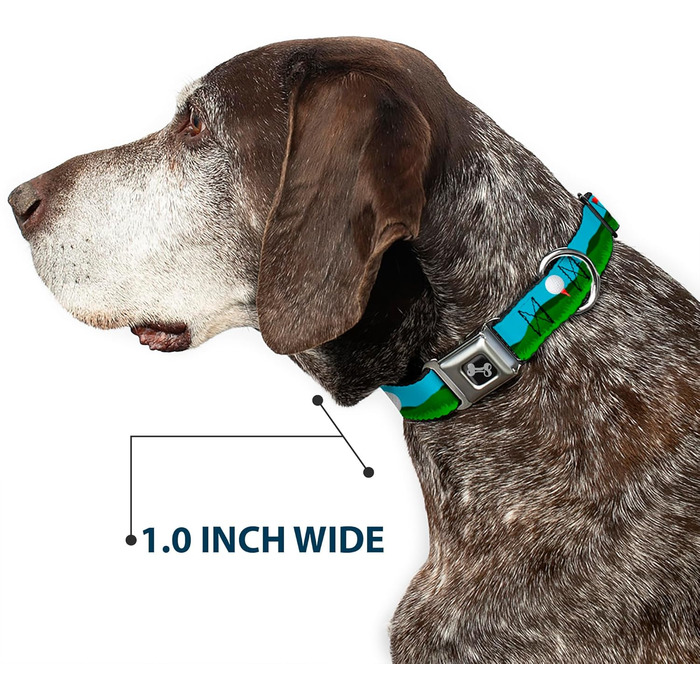Нашийник для собак Buckle Down з надійною застібкою-пряжкою, дизайн Гольф (м'ячики/лунки), синьо-зелений, ширина 2.5 см - підходить для обхвату шиї 38-66 см - розмір L