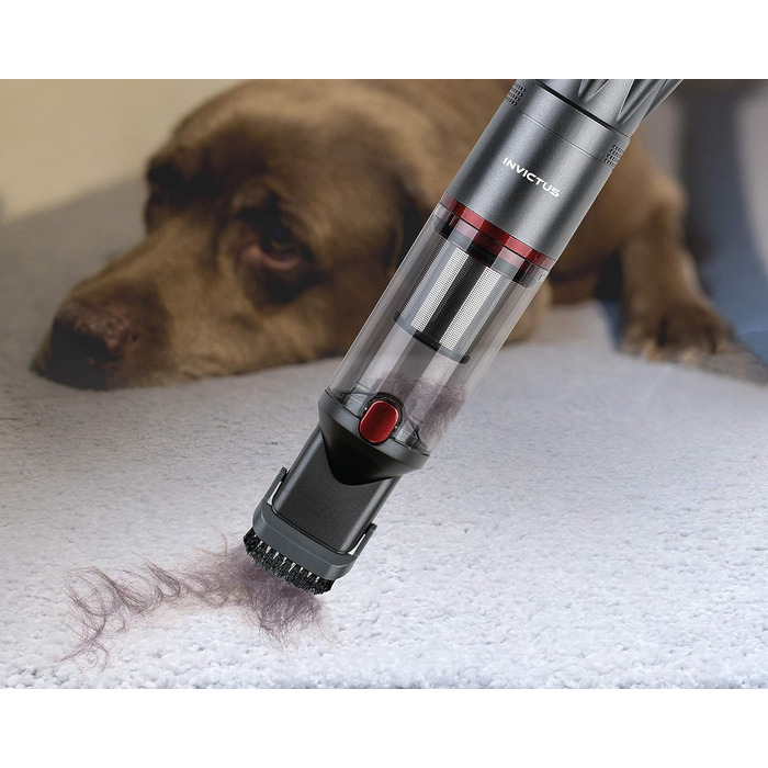 Ручний пилосос, ПП, нержавіюча сталь, антрацит, 28178