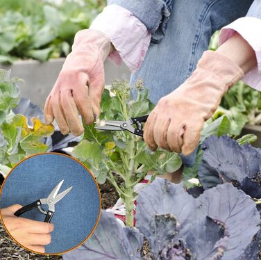 Набір інструментів для бонсай та сукулентів, 30 предметів комплект для початківців, включаючи килимок для пересадки, чохол з PU-шкіри та секатор для бонсай. Ідеальний подарунок для жінок та любителів рослин.