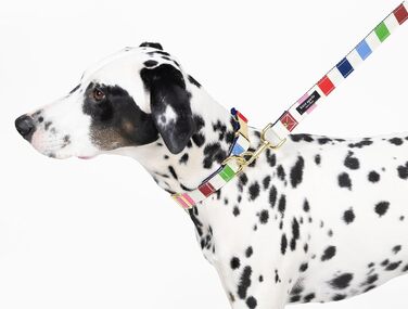 Ошийник для собак Kate Spade New York Adventure Stripe Large, золотиста металева пряжка, регульований розмір 39,4 - 61 см, підходить для собак середнього розміру (унісекс), стильний дизайн.