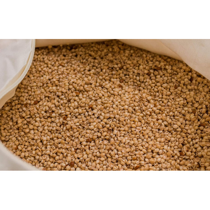 Подушка GIRAFFENLAND з органічного проса 40x60 см, подушка для сну з органічного перкалю органічний наповнювач, прямий наповнювач Нефарбована та невідбілена - подушка для голови з просом