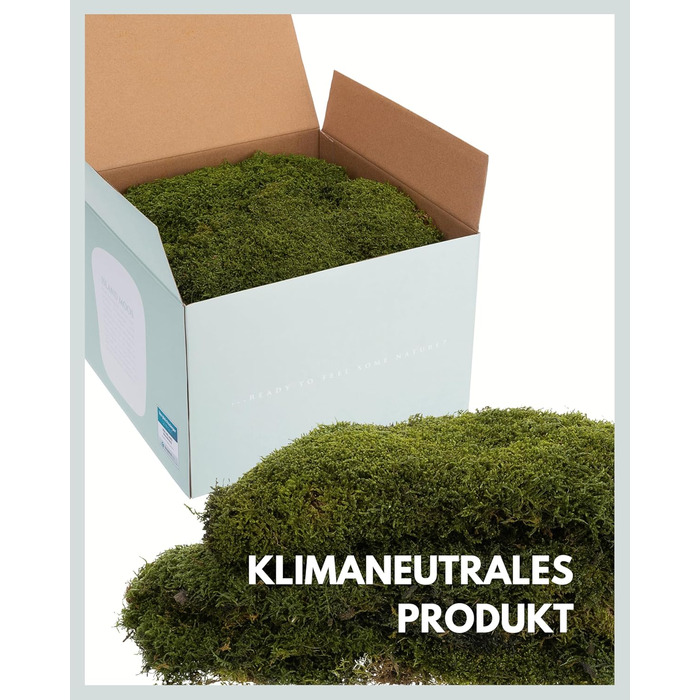 Пластинчастий мох довго зберігав природний зелений Декоративні стінові мохові панелі довговічні Картина з моху своїми руками зроби сам Килимок із натурального зеленого моху, 300 г, Living in Green