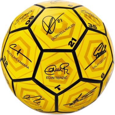 Футбольний м'яч Боруссія Дортмунд Унісекс Молодь BVB Signature Ball 2023/24 Футбол, Жовтий, 5 Одиночний