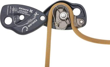 ЕДЕЛЬРІД Едді, Ніч