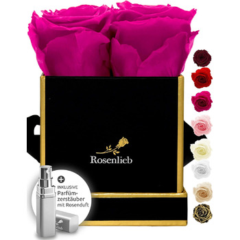 Коробка для троянд Rosenlieb з 4 трояндами Infinity (термін зберігання 3 роки) Справжні збережені квіти Flowerbox вкл. листівку Подарункова коробка для жінок, подруга, різдво (квадрат Bravo чорний, рожевий)