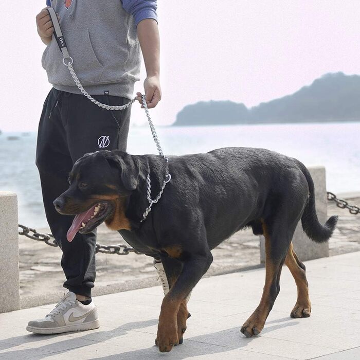 Ланцюговий повідок для собак Tspro, міцний проти укусів, з м'якою ручкою, металевий ланцюг для середніх та великих собак, з D-кільцем з нержавіючої сталі, анти-гризучий, сірий (3 мм, 110 см)
