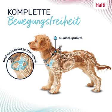 Шлейка HALTI Anatomy для цуценят свобода рухів та комфорт для вашого малюка. Легко одягається завдяки 4 точкам регулювання. Підходить для дрібних порід собак (розмір XXS, сірий)